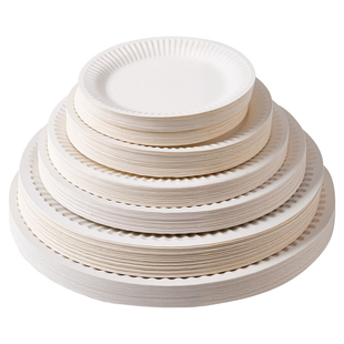 一次性白色纸盘幼儿园专用儿童手工diy材料美术绘画圆盘8寸蛋糕盘