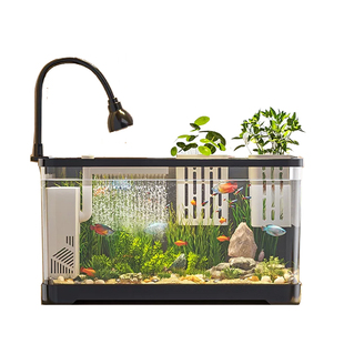 鱼缸小型客厅2025新款过滤制氧一体机家用造景全套生态桌面养鱼缸