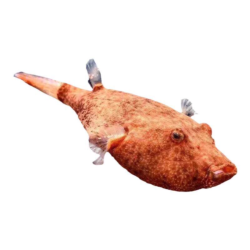 木瓜狗头鱼凶猛肉食性宠物河豚