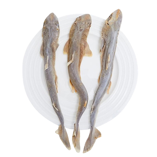 冻干小鲨鱼干狗狗零食磨牙棒小型犬幼犬狗咬胶耐咬洁齿补钙软骨素
