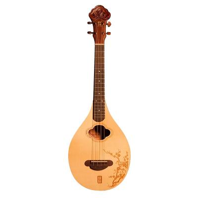 礼乐弦歌创新民乐类阮加振电箱琴