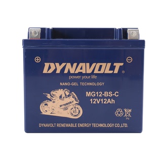 无极500R 500AC 500DS 650DS 300R 300RR 300AC 300GY蓄电池电瓶