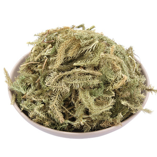 伸筋草 中药材 天然纯新货 大伸筋草 500g狮子尾舒筋草远志益智仁