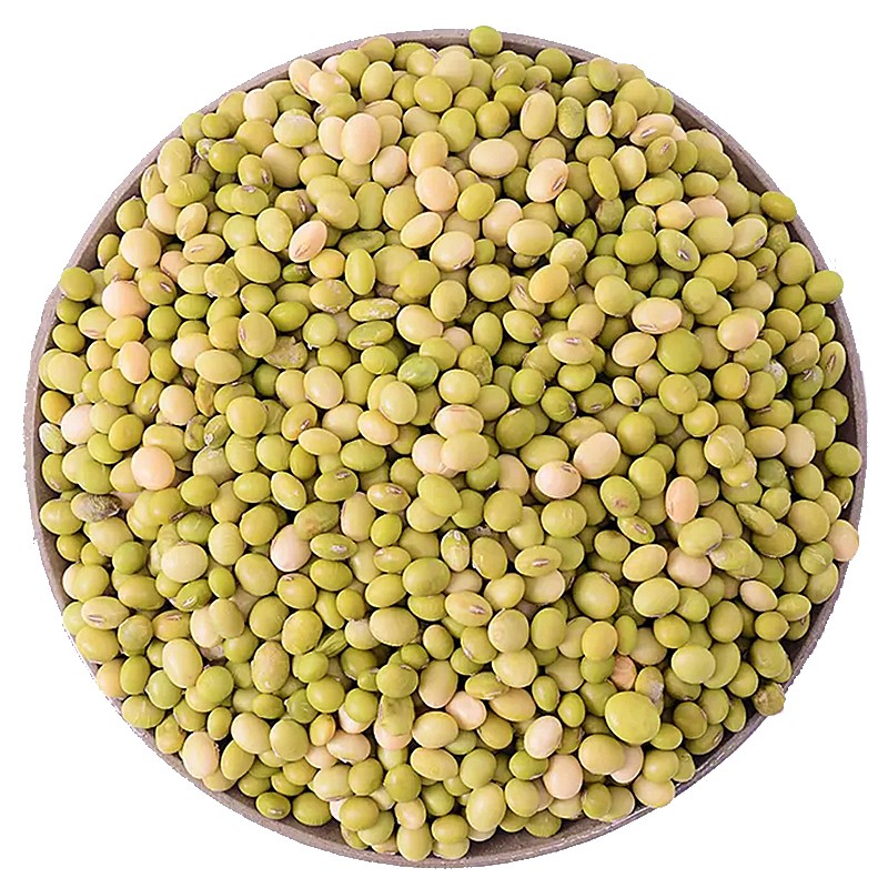 黄豆打豆浆专用农家自种非转基因豆子老品种土笨黑脐椭圆青皮绿皮