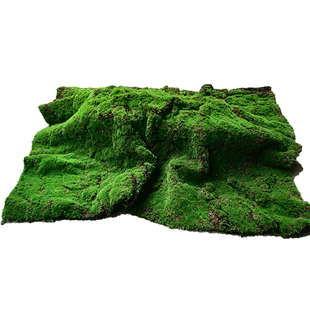 仿真苔藓青苔地毯造景垫子人造草皮婚庆草坪塑料人工草地装饰四季