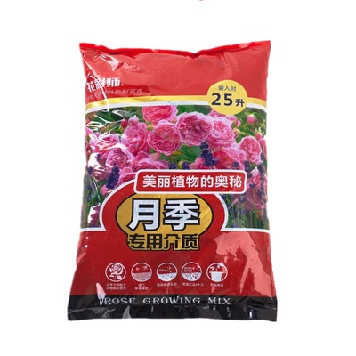 月季虹越月季玫瑰花园种植保水