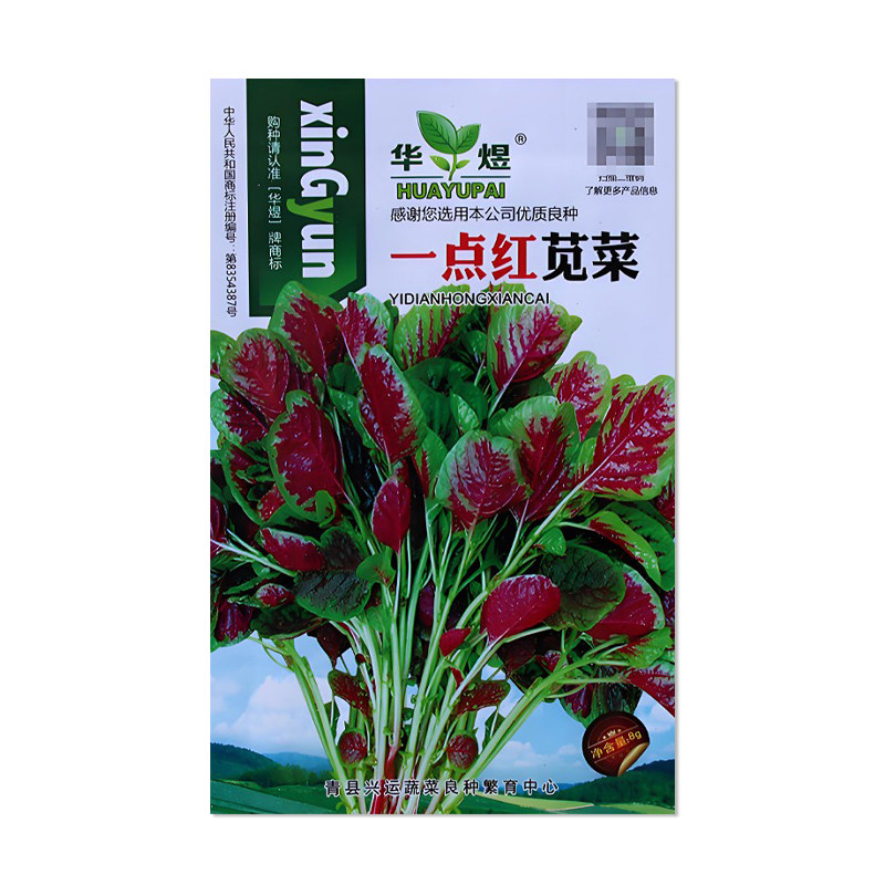 华煜一点红苋菜种子绿叶红心
