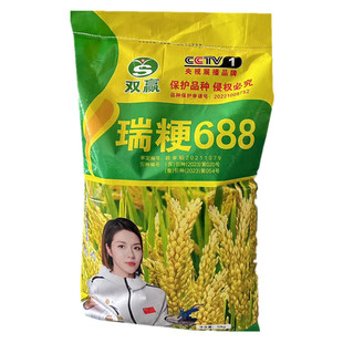 水稻种子瑞粳688高产洁田稻香粳稻种圆粒常规稻可以留种谷子品种