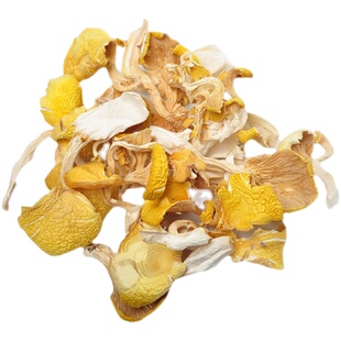 鸡油菌干货云南特产食用黄金菇榆黄菇黄丝菌500g原生态产地批发