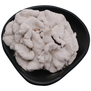 云南野生白参菌干货农家特产白花白参沙参树花裂褶菌500g蘑菇菌菇
