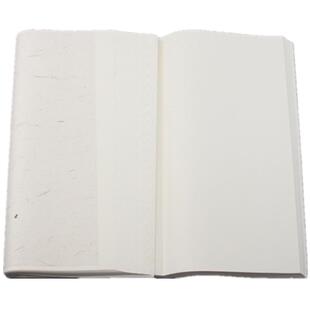 梅林笔庄宣纸加厚生宣半生半熟宣纸 国画工笔画初学者毛笔墨汁专用生批发100张书法作品纸作品纸四尺六尺对开