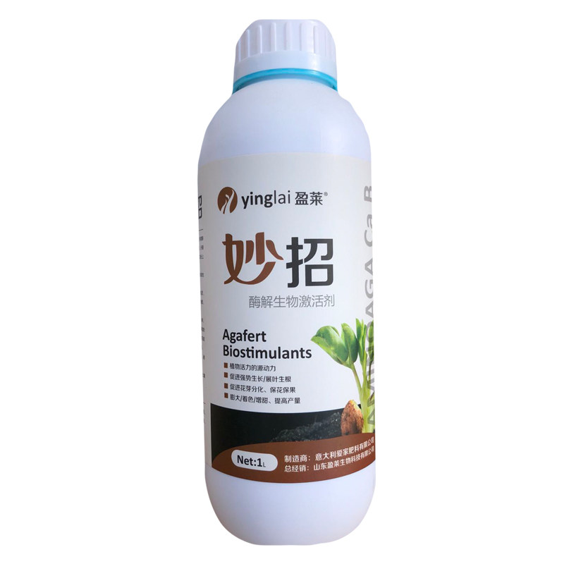 种植维生素海藻氨基酸水溶肥料