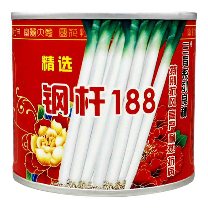 山东正宗铁杆大葱种子章丘葱种子四季葱籽高产葱白长抗倒伏包邮