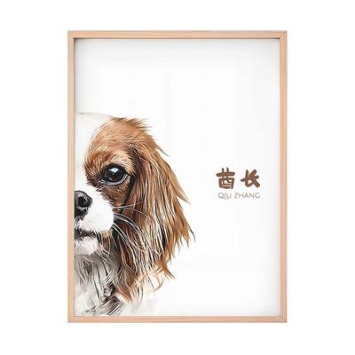 萌宠工坊宠物装饰画定制现代简约