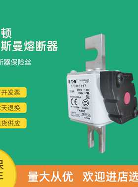 议价全新快速熔断器保险170M3166 170M3167 170M3168 170M3169