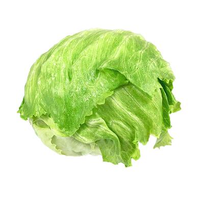 新鲜球生菜5斤三明治汉堡用蔬菜