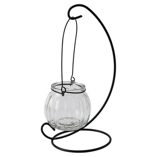 创意铁架水培绿萝玻璃花瓶容器盆办公室内桌面绿植现代摆件装饰品