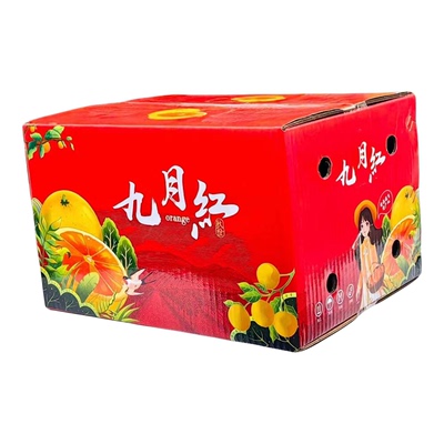 秭归脐橙九月红果冻橙现摘大果甜