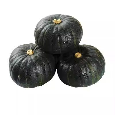 超甜板栗味贝贝南瓜种子高产