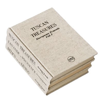 米色布面装饰真书中古侘寂英文书