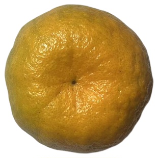 正宗福建永春芦柑应季新鲜孕妇水果整箱10斤礼盒顺丰现摘桔子柑橘