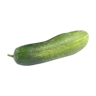 揭阳吊瓜种子旱黄瓜青瓜耐热高产阳台盆栽夏四季播蔬菜早熟种籽孑