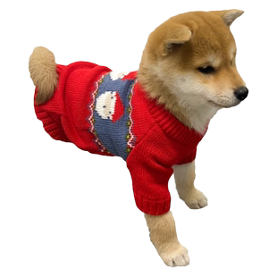 狗狗衣服小狗冬天秋冬宠物的冬装秋季泰迪小型犬冬季幼犬柴犬毛衣