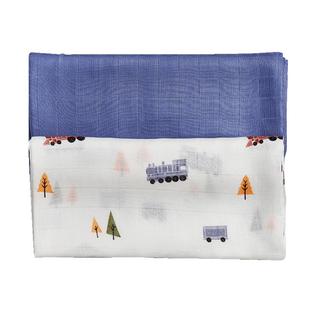 新加坡Little Rei新生婴儿包巾竹纤维纱布防惊跳包巾多功能巾包被