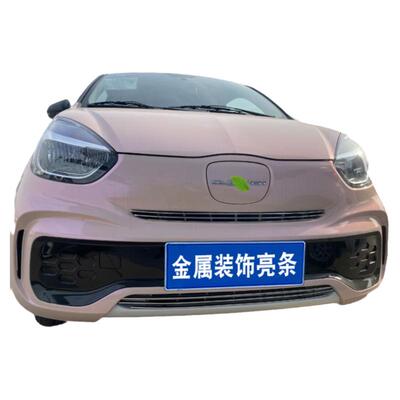 科莱威CLEVER中网改装汽车防虫网