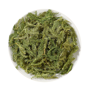 伸筋草野生中草药材小伸筋草白芥子筋骨草小舒筋草透骨草茶泡水喝