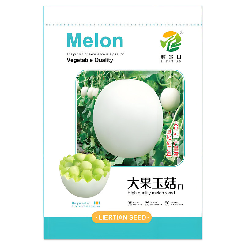 大果玉菇甜瓜种子哈密瓜种子