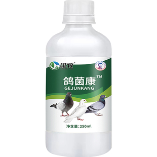 雄牧鸽菌康鸽子拉绿便肉鸽赛鸽专用沙门氏大肠杆菌甩拉吐食欲不振
