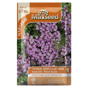 【爆款合集】MARSEED十年经典 爆款 网红 达人推荐合集系列