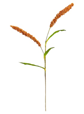 仿真谷穗稻谷小米丰收节干花道具