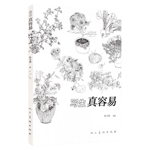 写生真容易 美术绘画练习教材 写生方法步骤教程书 自然植物花卉静物素描写生书 风景写生艺校学生用书初学者入门基础