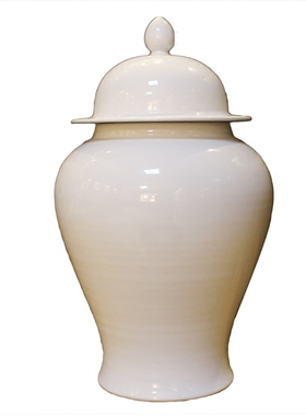 白色陶瓷大花瓶电视柜落地储物罐