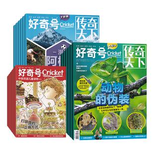4月新 好奇号杂志【2026年4/3/2/1月/2025/全/半年订阅】赠双语册+视频 中文版美国Cricket Media版权科学科普百科万物少年报