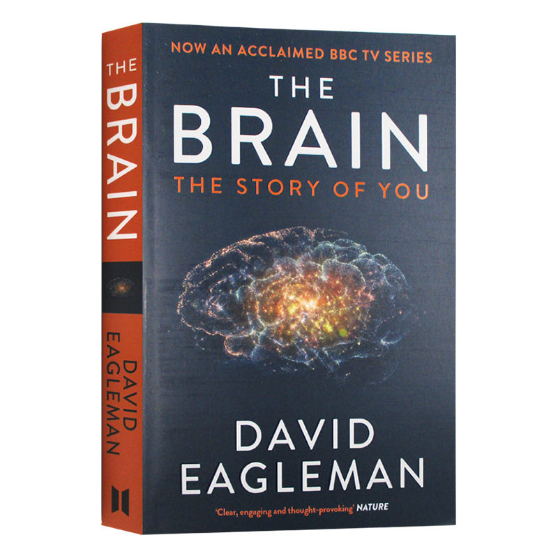 The Brain The Story of You 大脑的故事 英文原版 深入大脑 全英文版 David Eagleman 进口原版英语书籍
