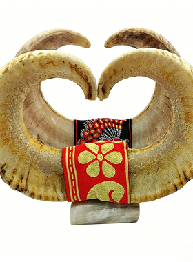天然老绵羊角装饰品摆件
