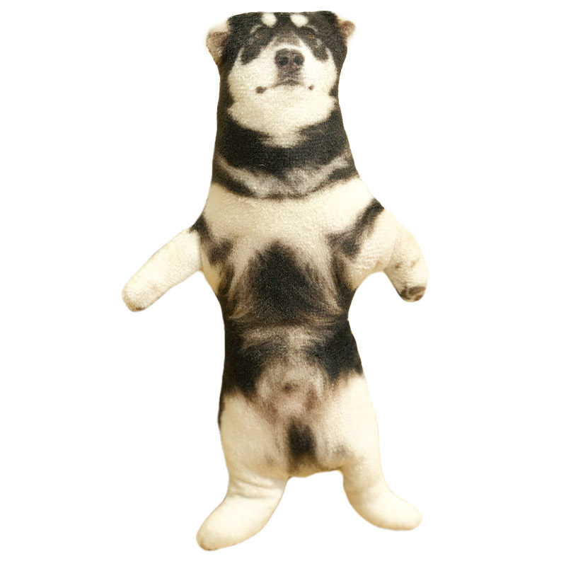 定制丑猫狗狗宠物老鼠干铁丝骨架四肢可弯曲人型玩偶公仔趣味搞怪