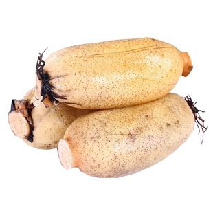 2025新莲藕新鲜现挖脆藕香糯煲汤糯米莲藕九孔清炒白藕蔬菜