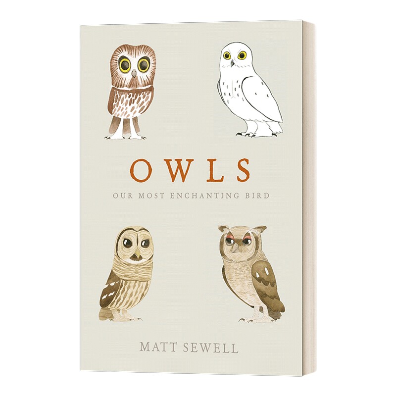 英文原版 Owls 我们迷人的鸟 猫头鹰科普绘本 马特·休厄尔 精装 英文版 进口英语原版书籍