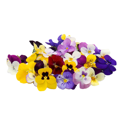 新鲜多彩三色堇 三色花 混色100朵 西餐摆盘菜装饰餐饮摆盘鲜花草