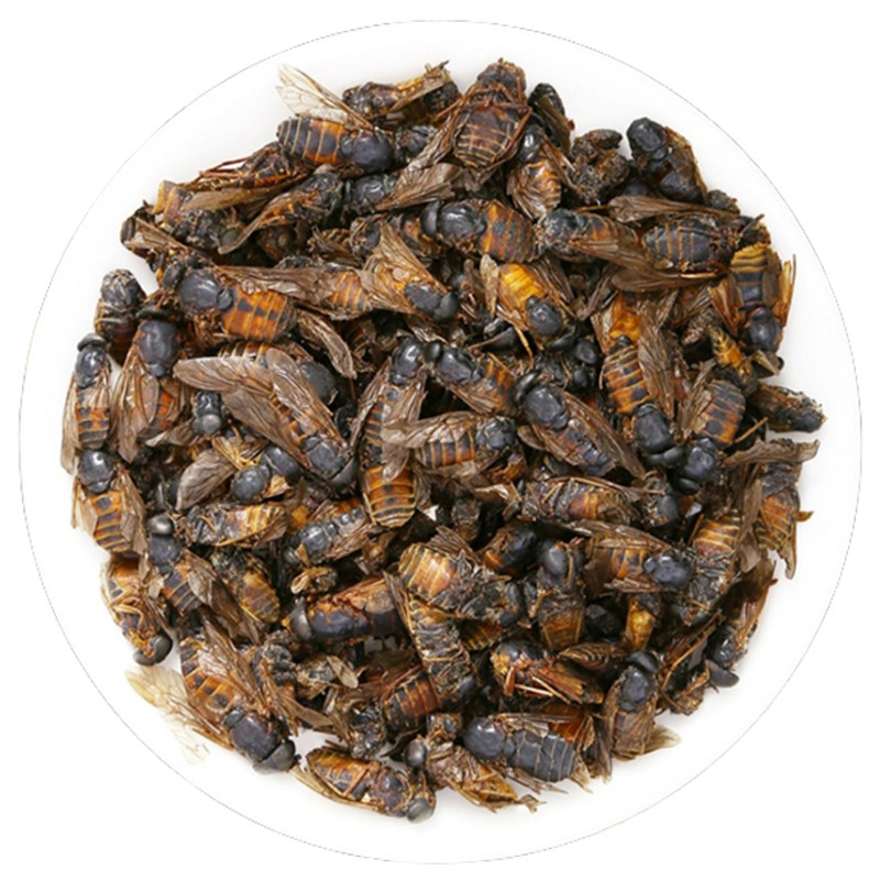 野生牛虻虫中药材新货牛苍蝇 牛蚊子 瞎虻虫 瞎蚂蜂500g正品干货
