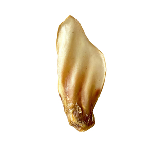 狗狗零食风干牛耳朵宠物磨牙棒洁齿去燥美毛金毛中大型犬训练奖励