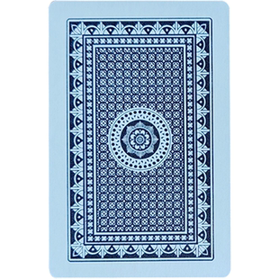 原牌兄弟282 2268 8080 2009 158魔术道具近景扑克牌背面认牌