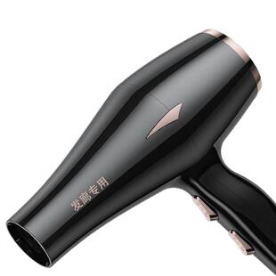 吹风机家用发廊发型师理发店专用大功率4000w负离子护发静音风筒