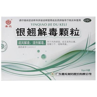 嘉应银翘解毒颗粒儿童小儿清毒中药疏风解表冲剂连翘合剂口服液