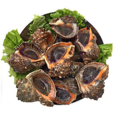 活发！大！肥！无沙！鲜！青岛发