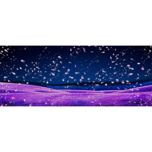 JACKSDO动画背景图 高级哑光相纸材质 黄金圣斗士 圣域系列